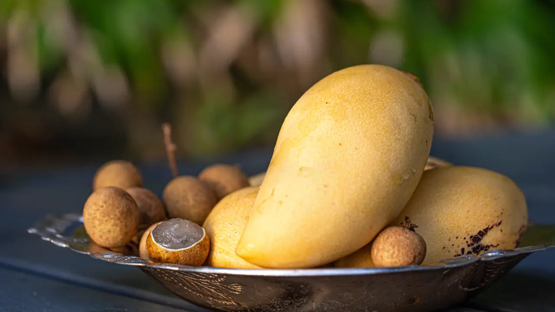 African Mango for Weight Management: How Irvingia Gabonensis Supports Metabolism Naturally
