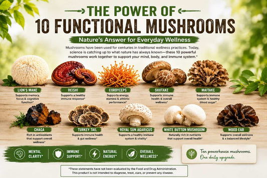 Mushroom Supplements for Sleep, Focus & ADHD: What the Science Says