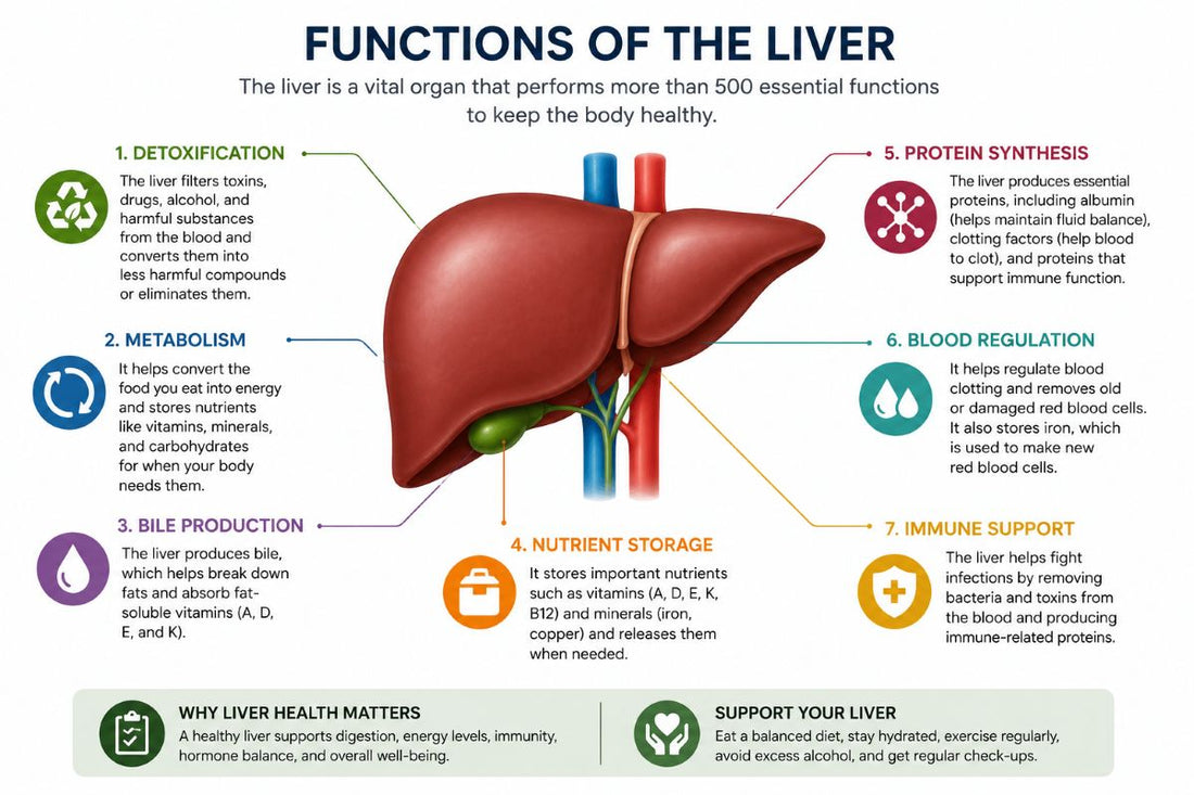 Liver Health and Sleep: Why Your Body's Detox Organ Needs Deep Sleep to Work