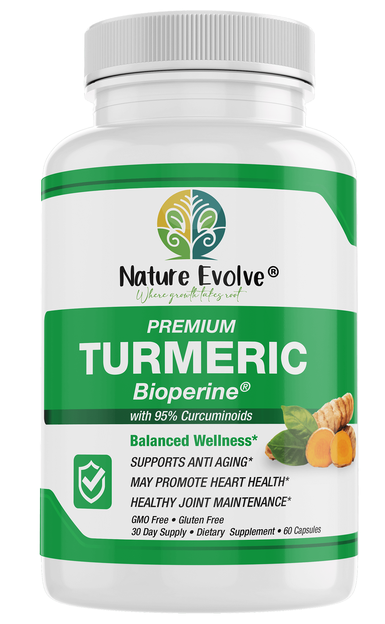 Turmeric w/BioPerine - 650mg