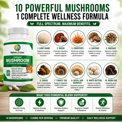 Mushroom 10x